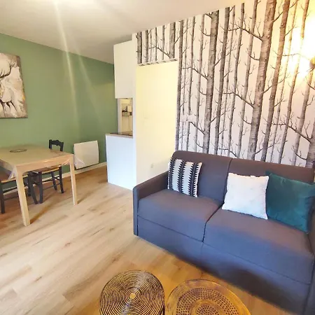 Le Cerf Charmant, T2, Luchon, Wifi, Balcon, Ascenseur, 4 Personnes Apartment *